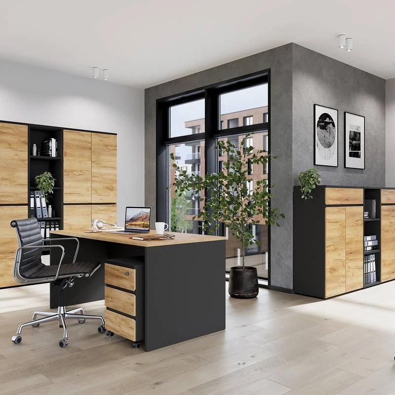 Armoire De Bureau GW-Lisbonne II – Image 3