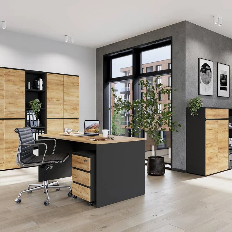 Armoire De Bureau GW-Lisbonne I – Image 3